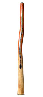 Jesse Lethbridge Didgeridoo (JL273)